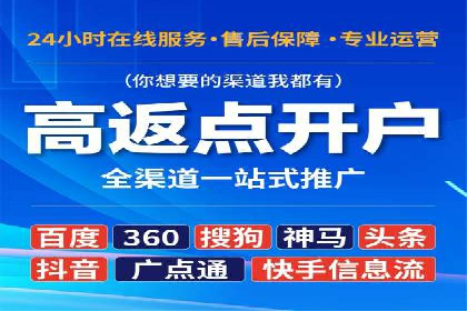 行业领先企业的SEM广告投放策略案例